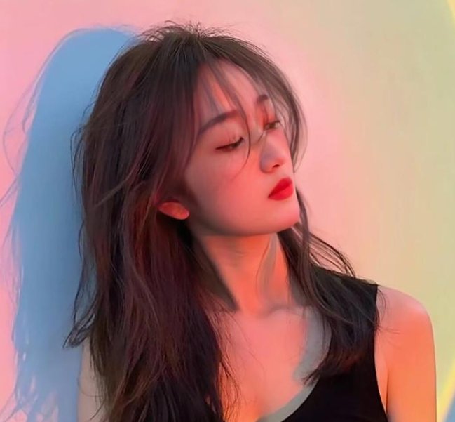 随风追寻