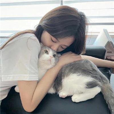 傻了吧我有一屋子美女房客