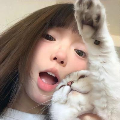 加菲猫和他的朋友们第五季